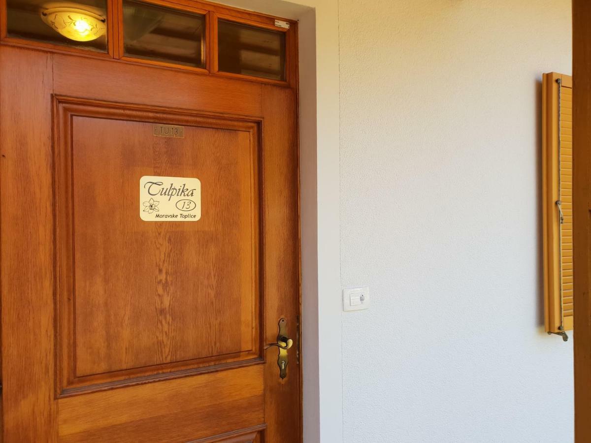 Ferienwohnung Tulpika 13 Moravske Toplice Exterior foto